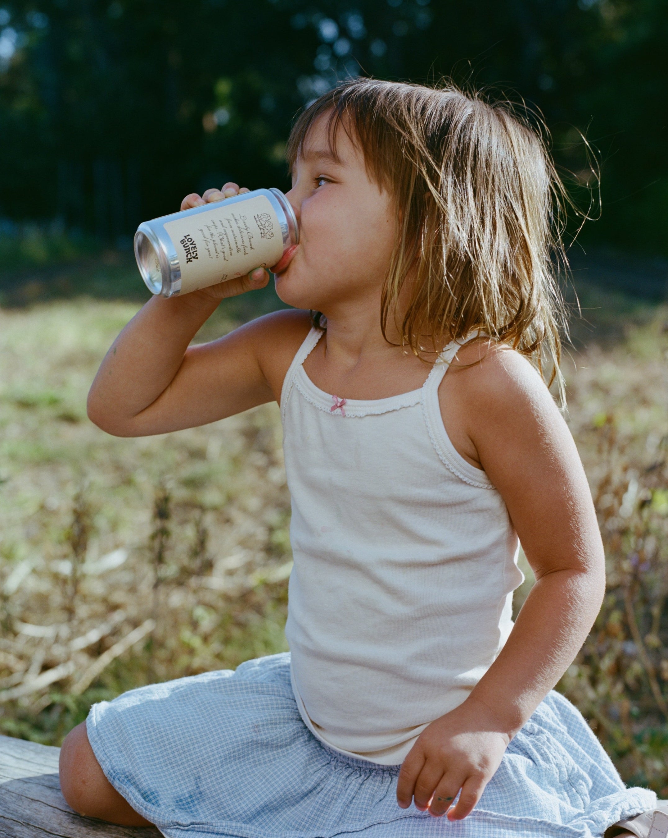 Sparkling Apple Juice (16-pack)